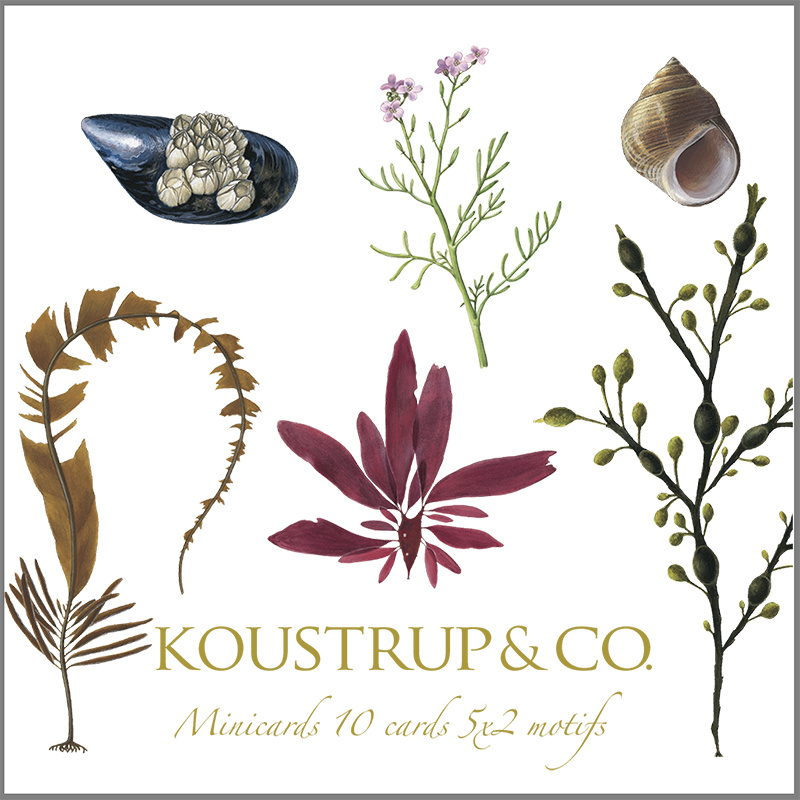 MINICARTE CARRÉE - Les délices de la côte - 8,5 x 8,5 cm