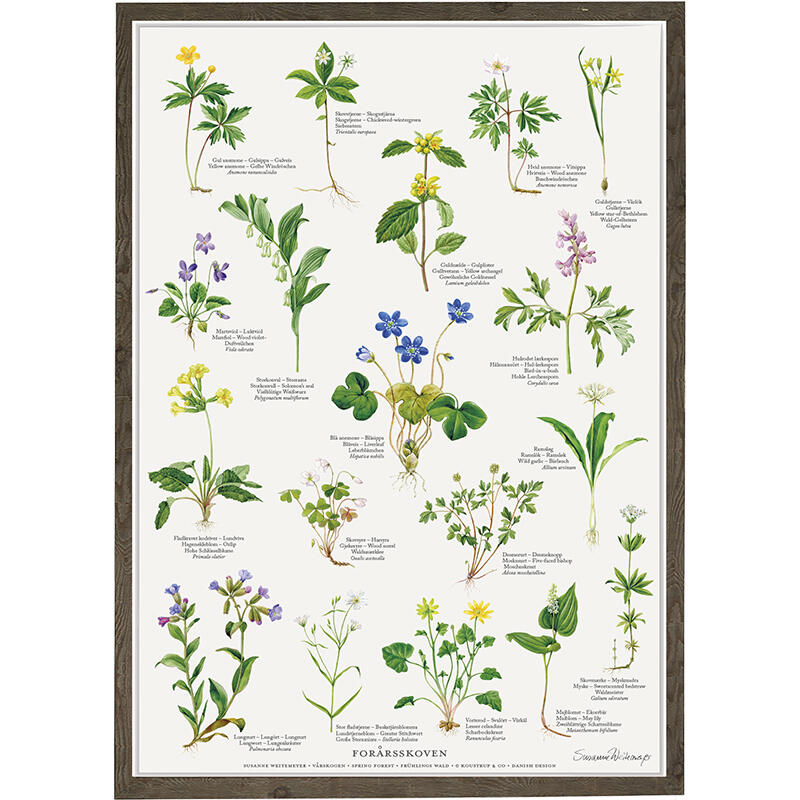 EL BOSQUE DE PRIMAVERA - Póster A2