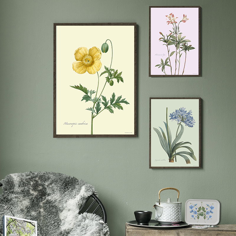 Lilja - TAIDETULOSTE - VALITSE KOKO