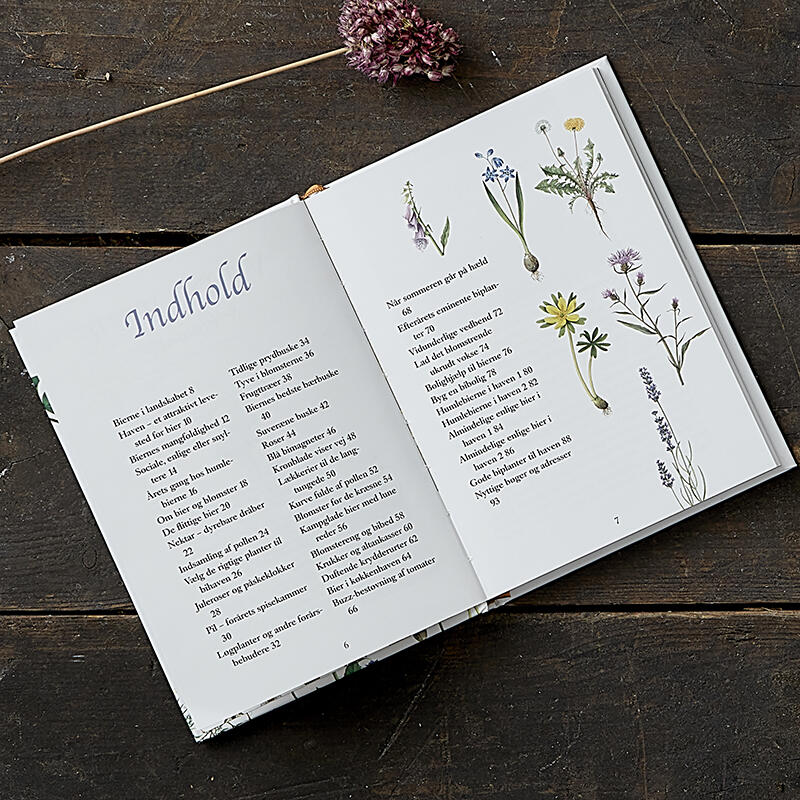 ABEILLES SAUVAGES - et plantes pour abeilles