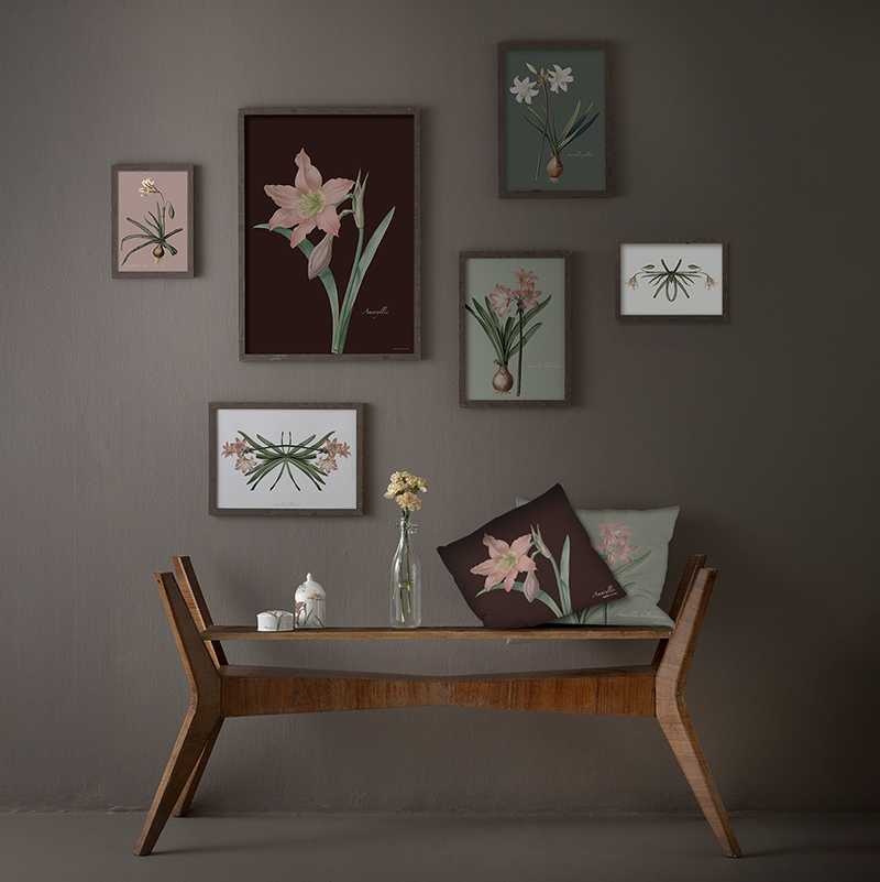 Amaryllis Belladonna - KUNSTPRINT - VÆLG STØRRELSE