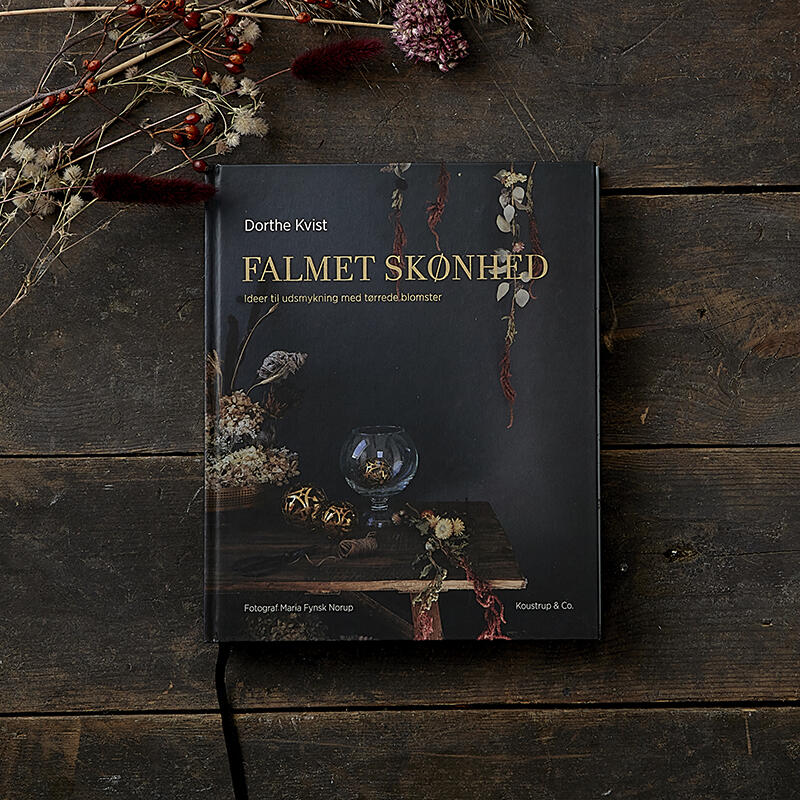 BELLEZZA SVANITA - OFFERTA