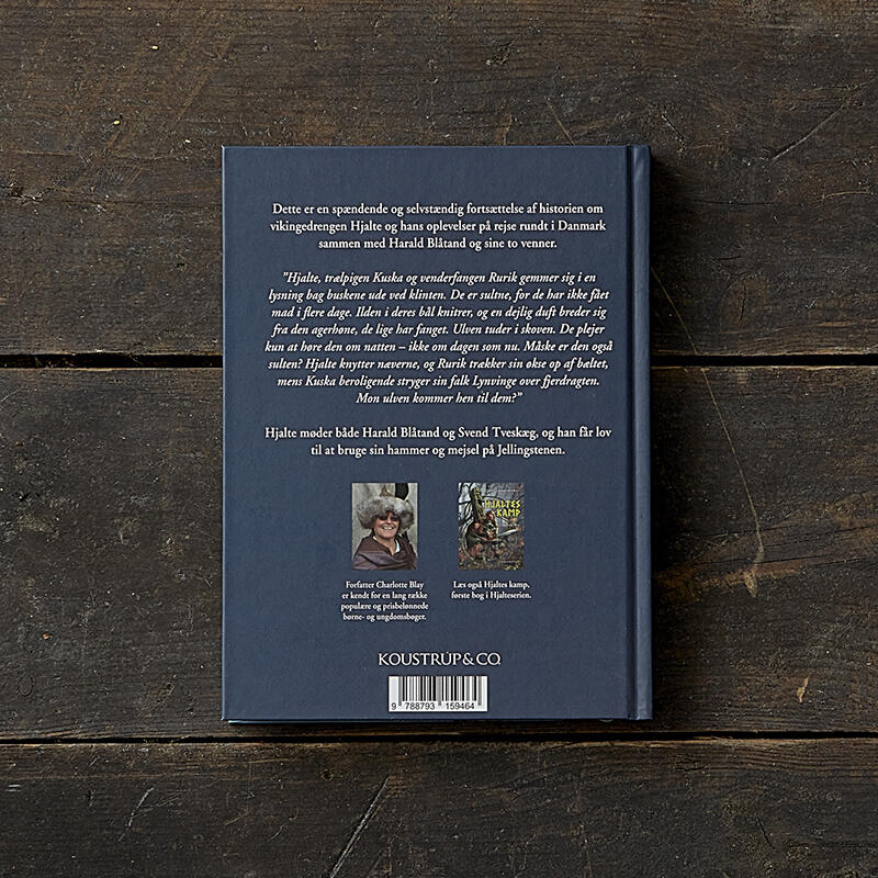 Hjalte og Kong Blåtand - Una storia vichinga - OFFERTA