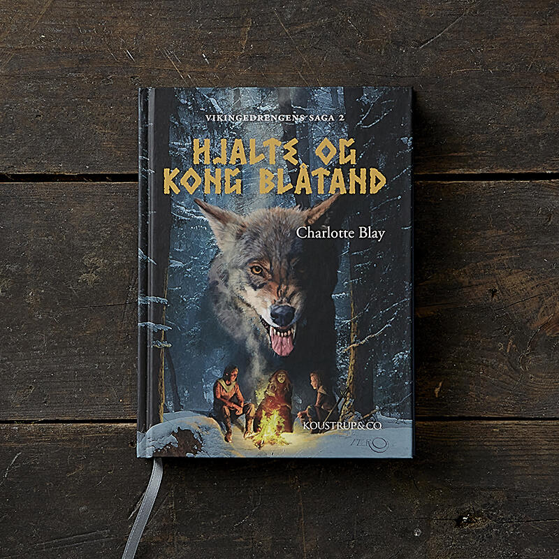 Hjalte og Kong Blåtand - Una storia vichinga - OFFERTA