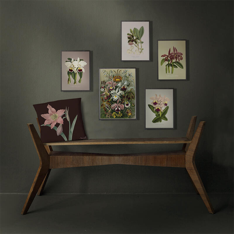 Orkideer - KUNSTPRINT - VÆLG STØRRELSE