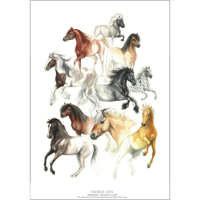 HORSE LIFE (HESTELIV) - Poster A2