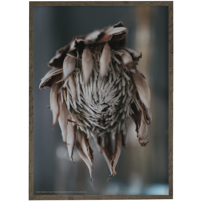 METAMORPHOSIS - Valokuvataide - Valitse koko