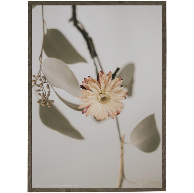 ETERNITY IN A FLOWER - Photographic Art - Choose Size