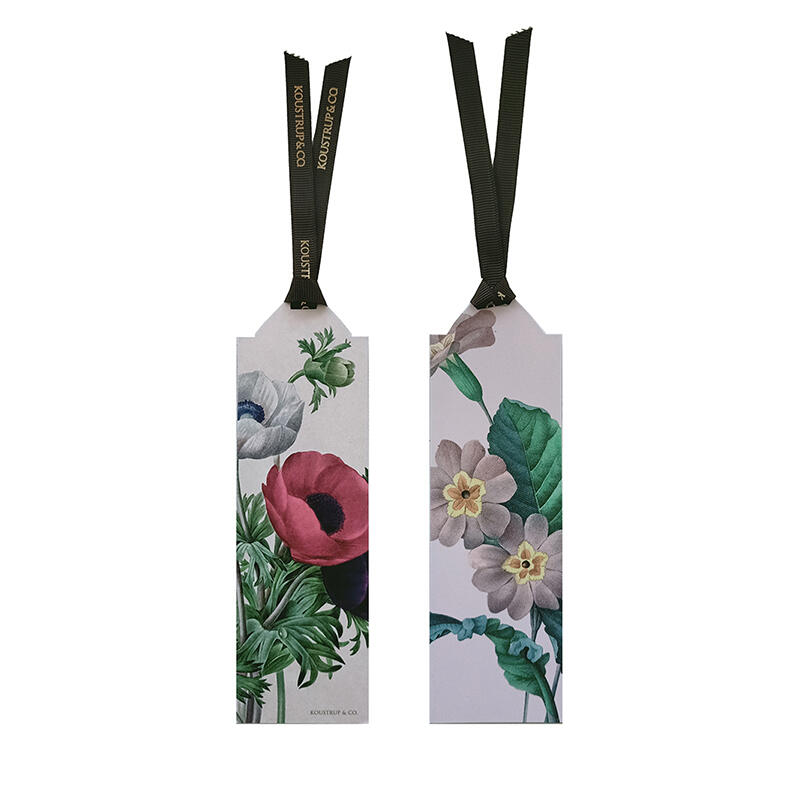 Primula - fransk anemone