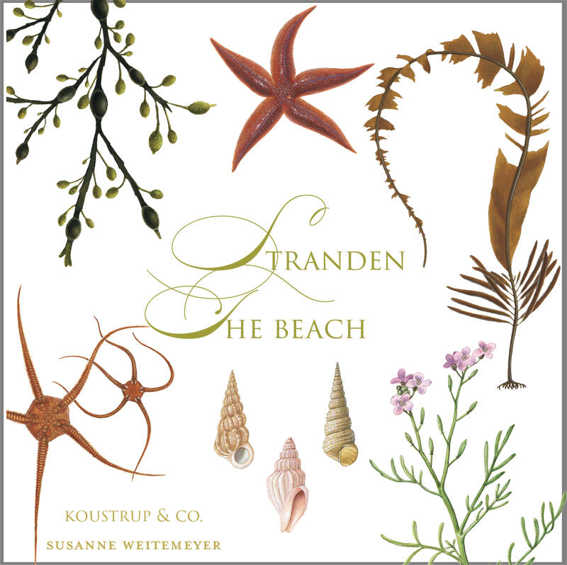 STRAND - Square card set