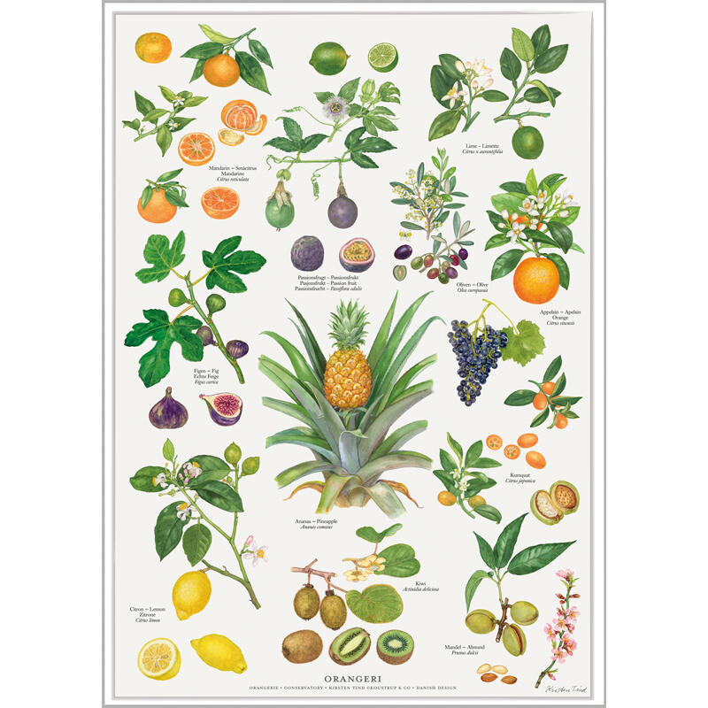 IMPRESSION A4 - Orangerie