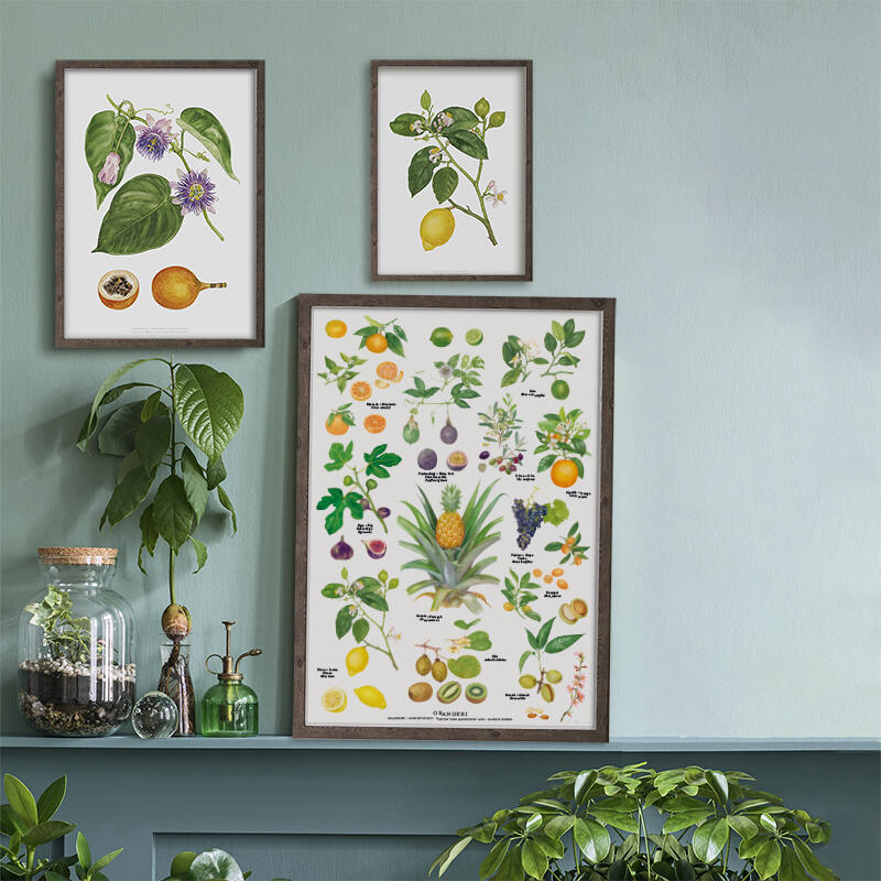 IMPRESSION A4 - Orangerie