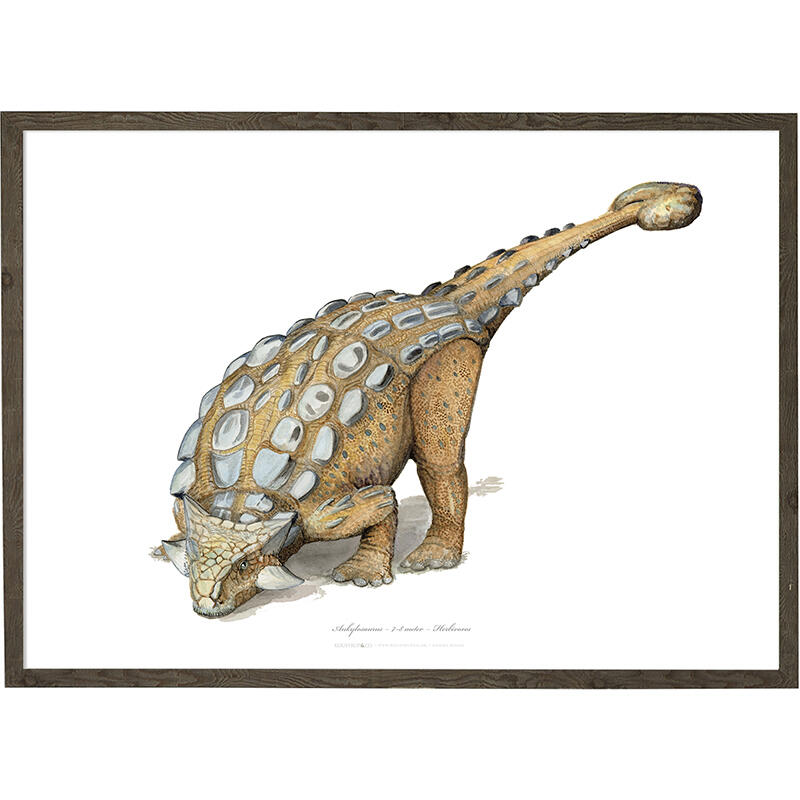 Ankylosaurus - TIRAGE D'ART - CHOISIS LA TAILLE