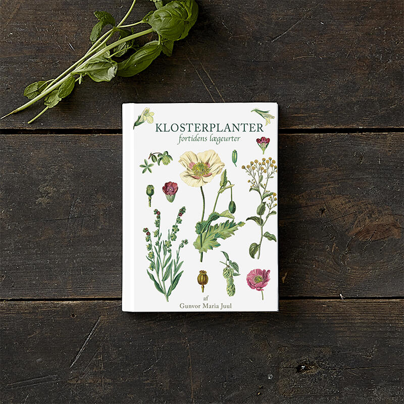 Luostarin kasvit – menneisyyden luonnonlääkintä