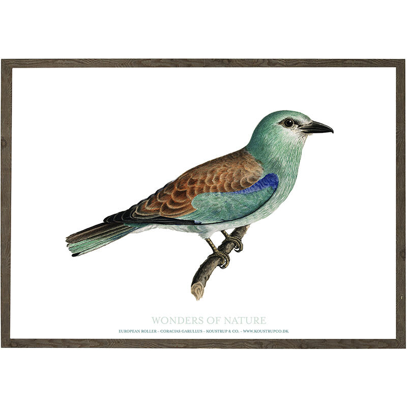 Ellekrage - KUNSTPRINT - VÆLG STØRRELSE