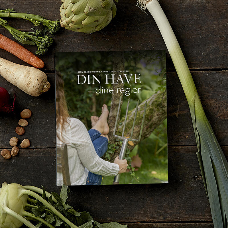 God bog nybegynderen i haven