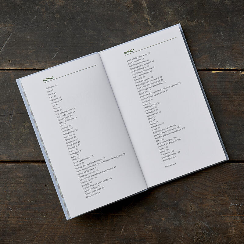 Traces dans la nature