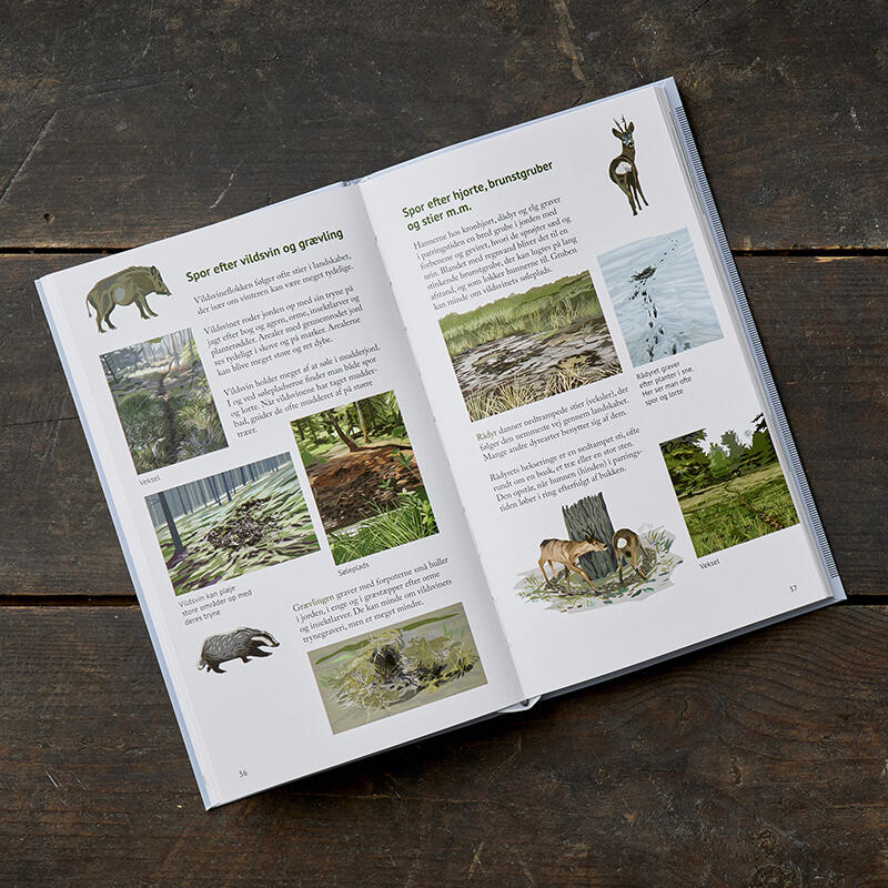 Traces dans la nature