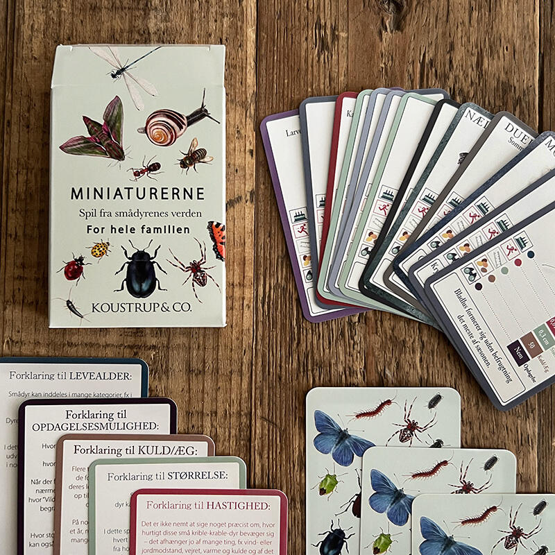JEU DE CARTES - Le monde des petits animaux et des insectes