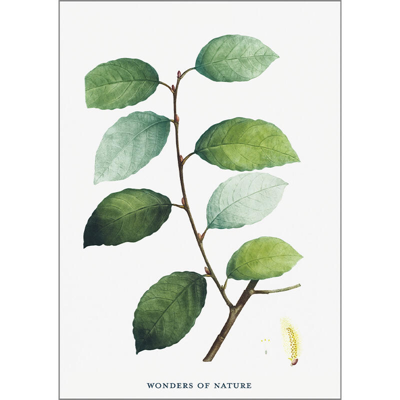 Leaves - carte simple A5