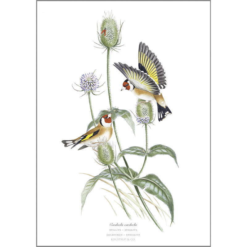 Stilits - A5 enkeltkort