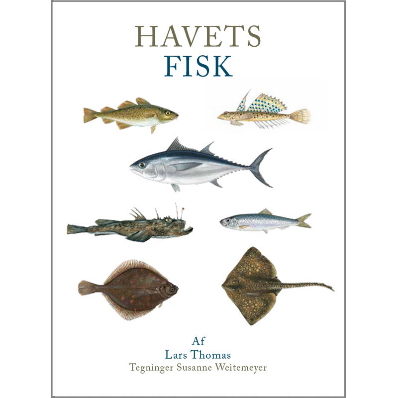 Havets fisk bog