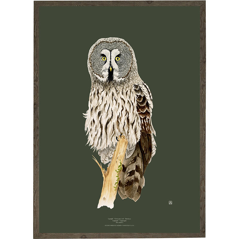 Lapugle - TAIDEPRINTTI - VALITSE KOKO