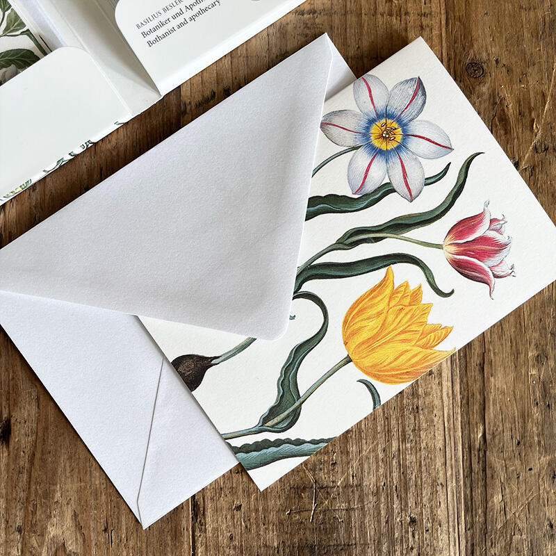 RENAISSANCEGARTEN - 8 cartes (allemand)