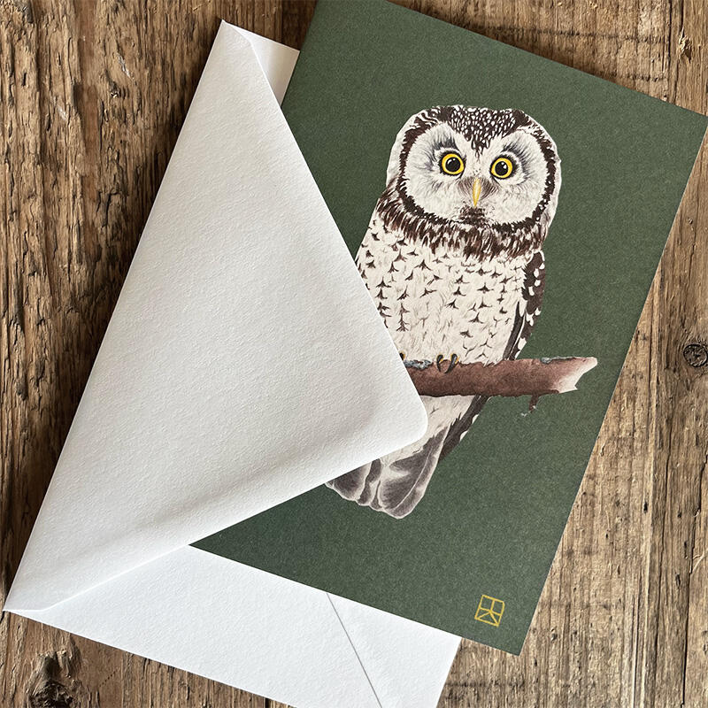 EULEN - 8 cartes (allemand)