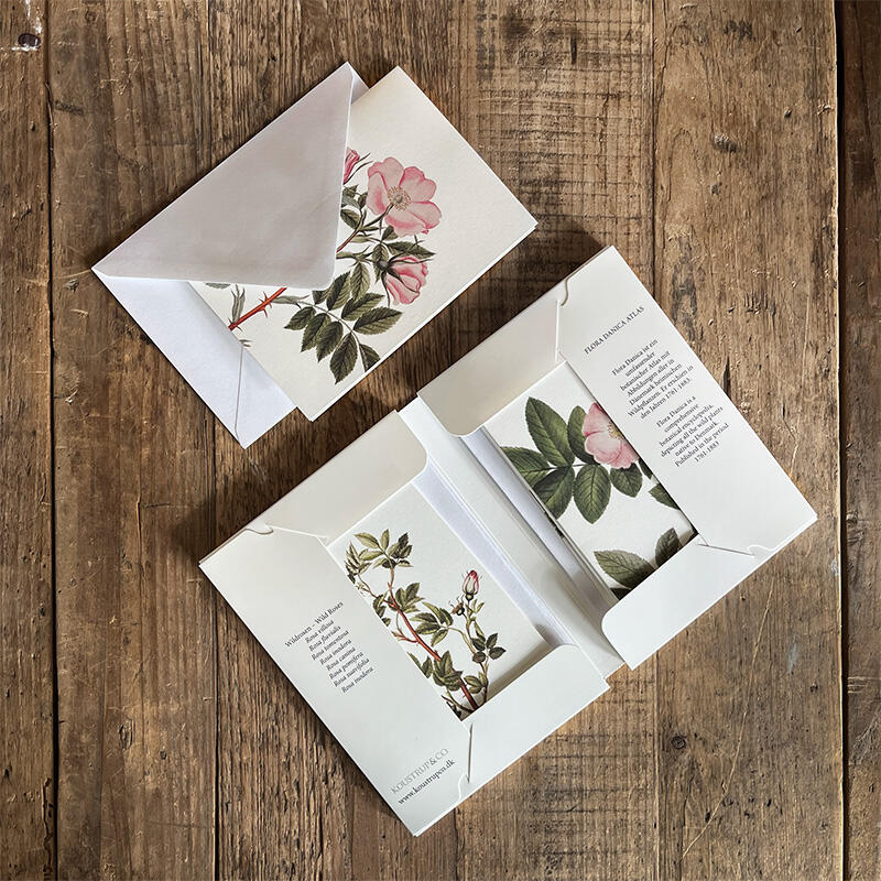 WILDROSEN - 8 cartes (allemand)