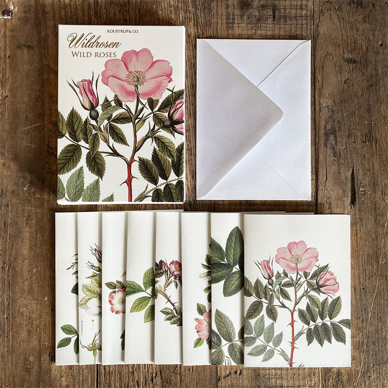 WILDROSEN - 8 cartes (allemand)
