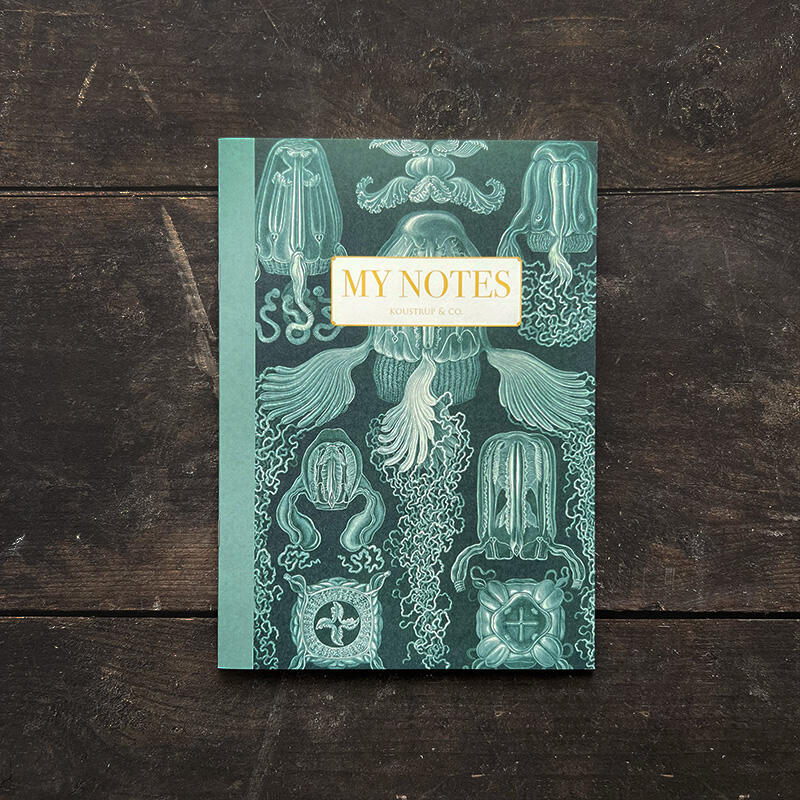 Notitieboekje - Haeckel 3