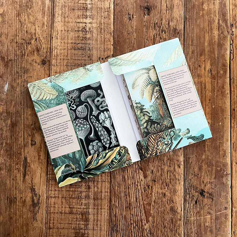 ERNST HAECKEL - 8 korttia