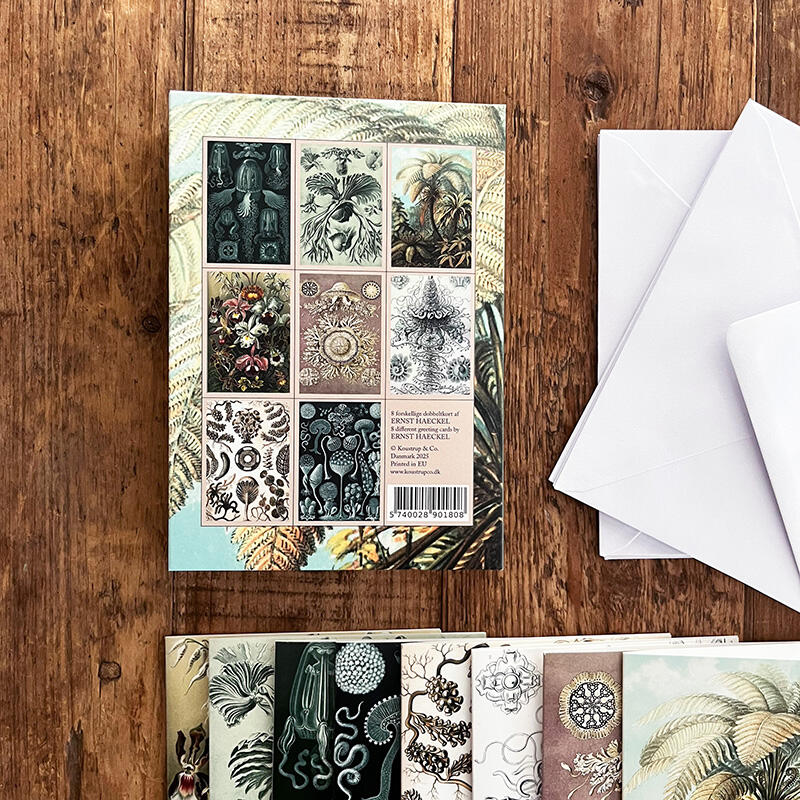 ERNST HAECKEL - 8 korttia