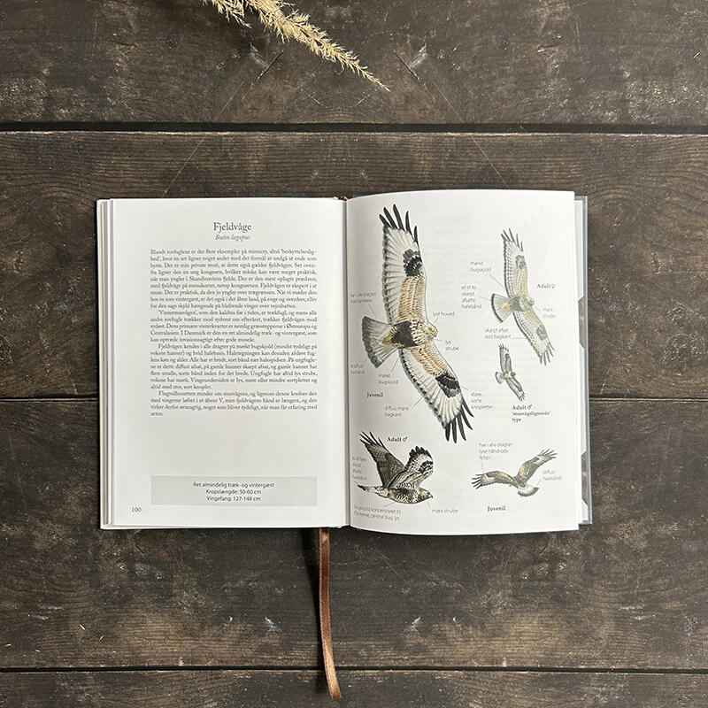 LIVRE : Rapaces – Comme je les vois