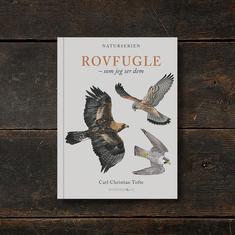 LIVRE : Rapaces – Comme je les vois