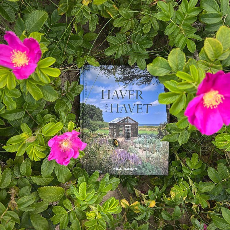 BOG: Haver ved Havet