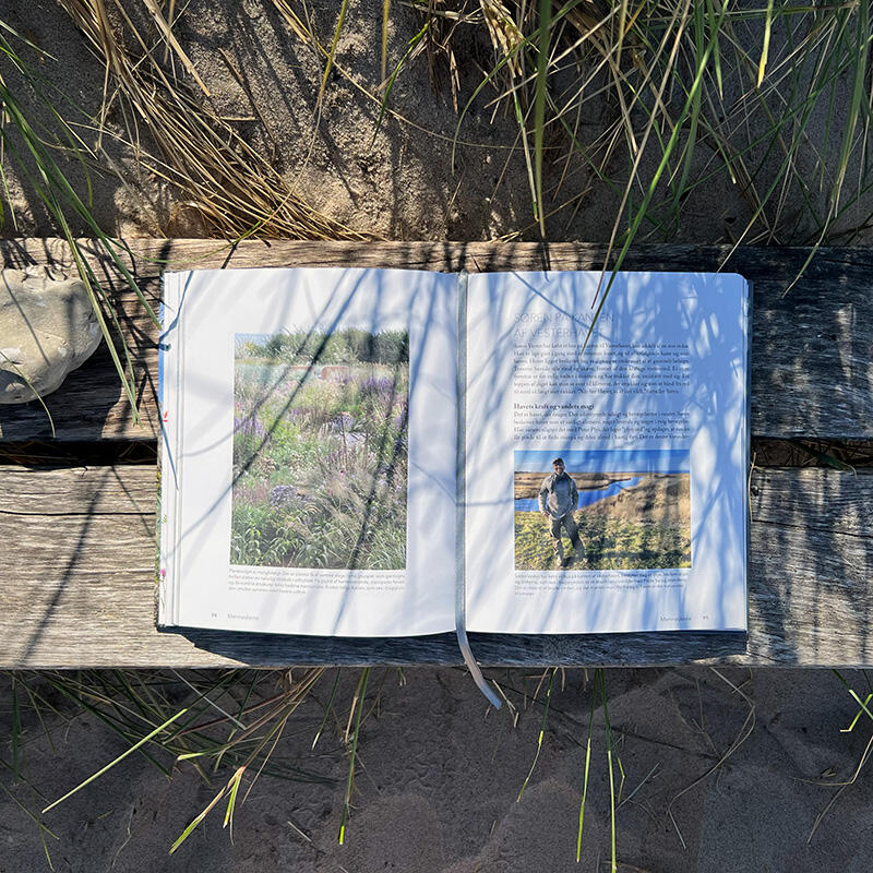 BOG: Haver ved Havet