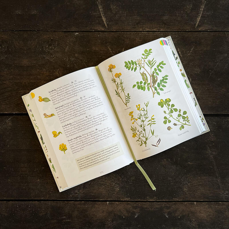 Flora - Lär känna naturens blommor