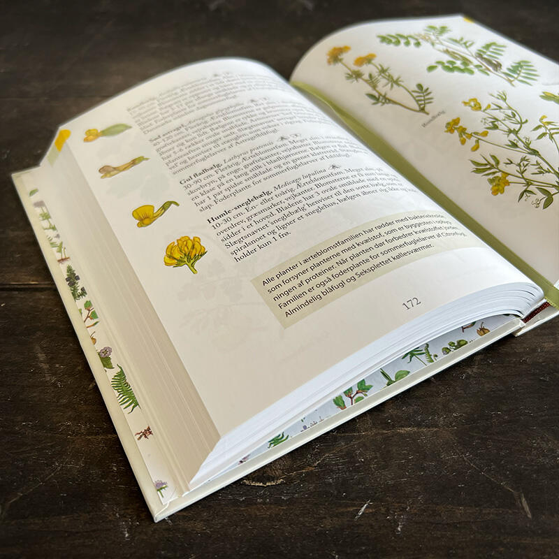 Flora - Lär känna naturens blommor