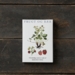 FRUITS ET BAIES - 8 cartes