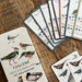 CARD GAME – The World of Birds