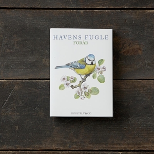 HAVENS FUGLE FORÅR - 8 kort