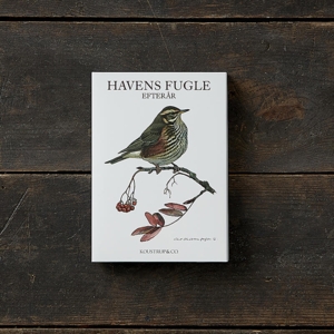 HAVENS FUGLE EFTERÅR - 8 kort