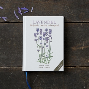 LAVENDEL - Duftende, smuk og velsmagende