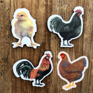 MAGNETER - EUKALYPTUS, Høns