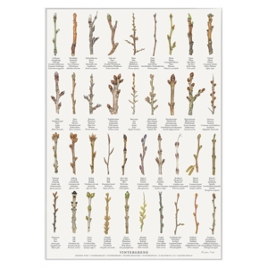 DRUK A4 - Wintertakken