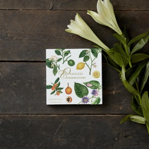 Orangery - Square card set