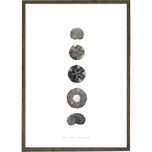 Søpindsvin - KUNSTPRINT - VÆLG STØRRELSE