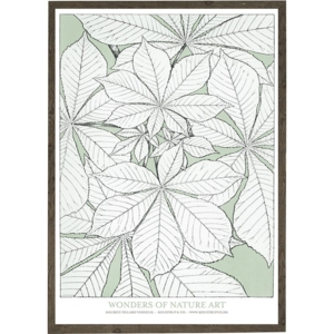Leaves green - KUNSTPRINT - VÆLG STØRRELSE
